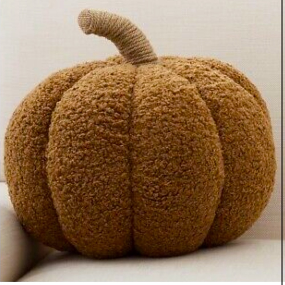 POTTERY BARN Cozy Teddy Pumpkin Pillow Tobacco NWT